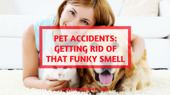 Pet Accidents