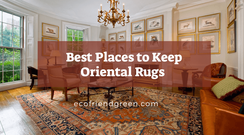 Best Places to Keep Oriental rugs