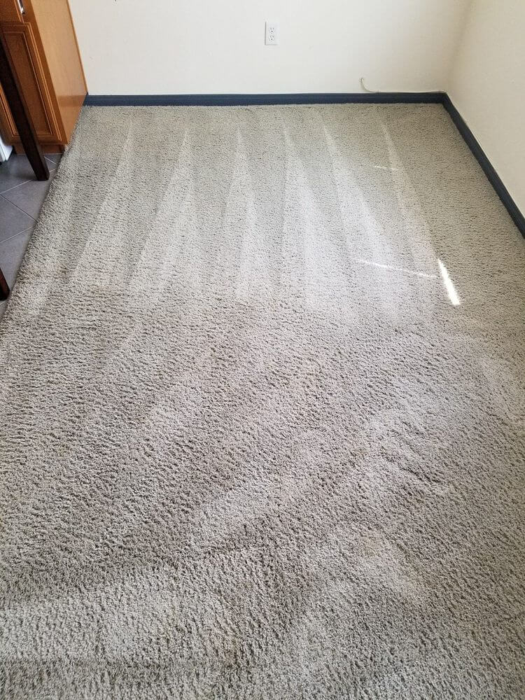 Best Carpet Cleaning Near Me Las Vegas NV  Eco Friend Carpet Care